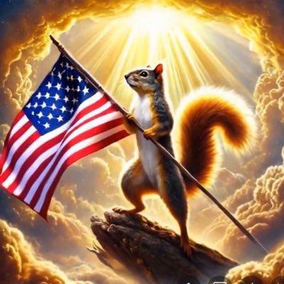 TeamAmerica2022's profile picture. 