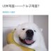๊น๋ฑ
๐ซ (@purecbcb) Twitter profile photo ๊น๋ฑ
๐ซ (@purecbcb) Twitter profile photo