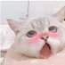 R18 Collection (@r18collection_) Twitter profile photo