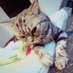 れお (@reo2525_) Twitter profile photo れお (@reo2525_) Twitter profile photo