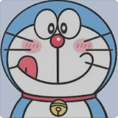 狸猫布丁