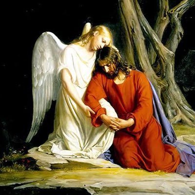 🇦🇺✝️Catholic. Western Chauvinist. Engineer. Pianist.