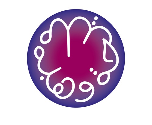 dar el-ilm School of Languages, founded in 1988, teaches Arabic to Children & Foreign languages to Adults & Children, inc French, English, Italian, and Mandarin
