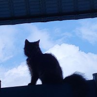 Babix (@valenzilfikri) 's Twitter Profile Photo Babix (@valenzilfikri) 's Twitter Profile Photo