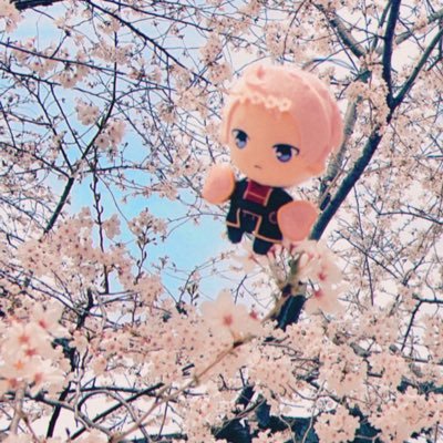 葱糸さんのプロフィール画像