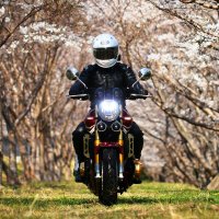 おスミの旦那氏 (@ca_parlor) Twitter profile photo