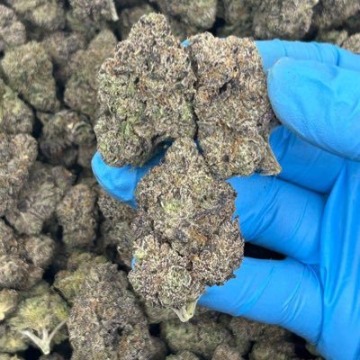 TOP SHELF BUDS,LEAN AND DISPOSABLE CARTS JOIN POTATO APP CHANNEL BELOW AND STAY UPDATED WITH EVERYTHING AVAILABLE telegram. https://t.co/ctJq1FfpvD