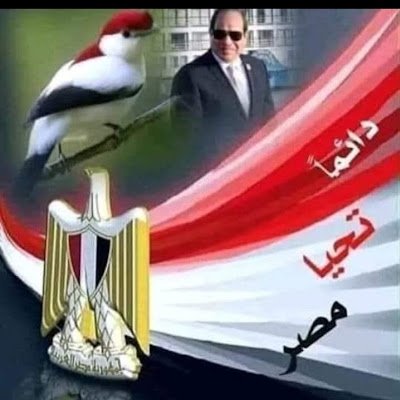 gamalalking146's profile picture. 