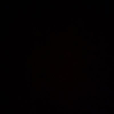 TheGeminiTiger's profile picture. 🐅 #D33PWealth