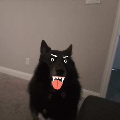 DillonD0e's profile picture. 