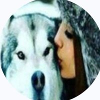 DİKABORZ 𓃦 𐱅𐰇𐰼𐰜 𓃦 (@wigilante44) 's Twitter Profile