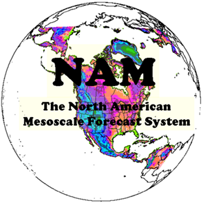 FakeNAM's profile picture. When the Fake GFS just isn't fake enough. Definitely a parody account.