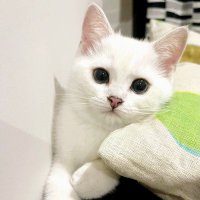 bree_em (@bree_em101) 's Twitter Profile