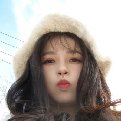 dlstodwhy's profile picture. 