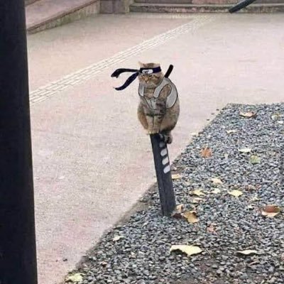 Itjimon544's profile picture. private zone 🤫