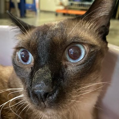 CtmxNB's profile picture. CtmxNB
