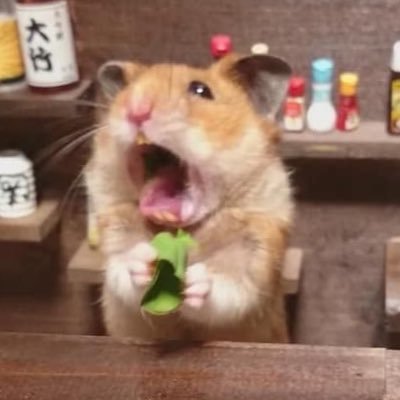 Tom_autthapol19's profile picture. @UTH