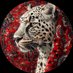 Abdullah (@abdullh_ro7) Twitter profile photo Abdullah (@abdullh_ro7) Twitter profile photo