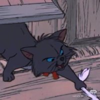 Blfivm (@blfivm) 's Twitter Profile