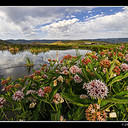 Bertha Fox - @BerthaFox1 - Twitter