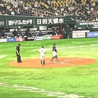 chopinoin (@chopinoin97438) Twitter profile photo