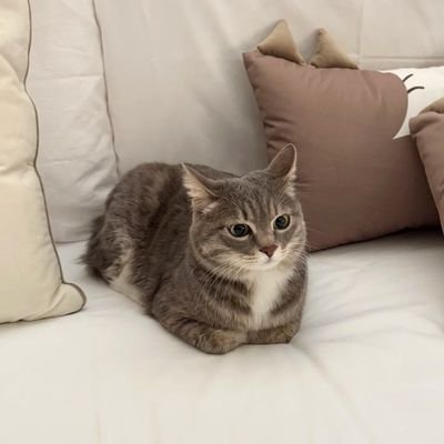 user19930207's profile picture. ...