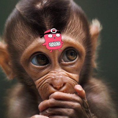 bobobili2021's profile picture. crypto investor