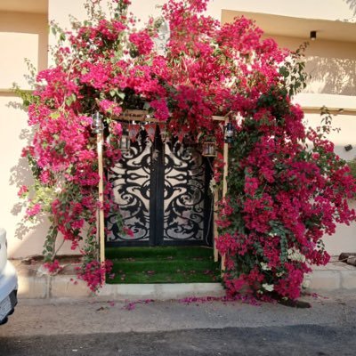 s4l6m8a2's profile picture. 