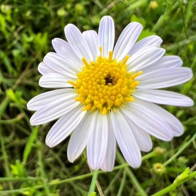 ntp780281476594's profile picture. tt - @ support._088  #JossGawin