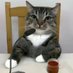 Sonu (@oggy_thebluecat) Twitter profile photo Sonu (@oggy_thebluecat) Twitter profile photo