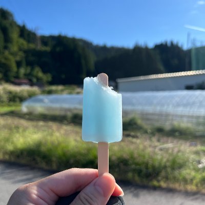 上場企業へ会社を売却して億万長者になった。本も10万部でベストセラー。地位も名声もある程度手に入れたら、目指していたものが全て無意味に感じた。売上・車・時計・酒・女etc.そして自然に向き合ったら無力を感じた。お金や地位名声が必要なのは生きる力が足りないからだ。だから俺は限界集落へ来た。良かったら生き様を見てください。