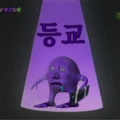 마둘さんのプロフィール画像