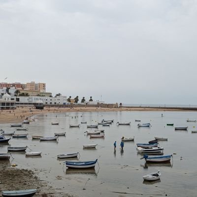 NeilWar52644192's profile picture. 