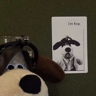 qiao_lai4499's profile picture. 