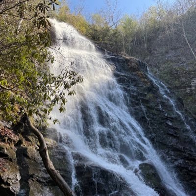 SeanKelly808721's profile picture. Learning  that the true essence of life lies in the conscious nurturing of relationships and the cultivation of inner wisdom.  #FamilyFirst #SaveTheChildren