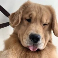 ทันนี่🐶 (@tannyypp) 's Twitter Profile