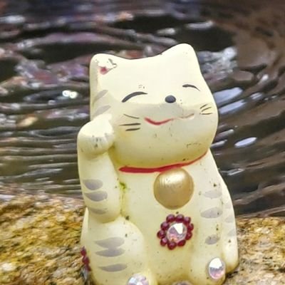 lemoさんのプロフィール画像