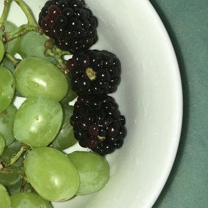 mivo's profile picture. oops, all apples