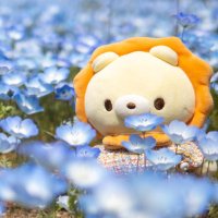 みこ (@mikokokokokoi) 's Twitter Profile Photo みこ (@mikokokokokoi) 's Twitter Profile Photo