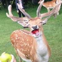 도쑥 (@fishandwater333) 's Twitter Profile Photo