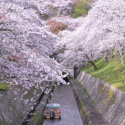 Tomoyoshibiwa's profile picture. 写真好き/美しい風景/琵琶湖/美食/ラーメン/歴史/地域活性化/地方創生/滋賀県 茨城県 埼玉県 奈良県 山梨県を中心に素晴らしい地域の魅力をご紹介したい