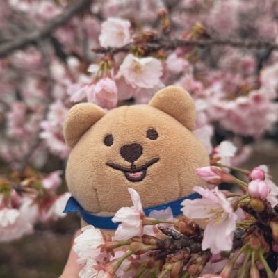 MushiPan🍞さんのプロフィール画像