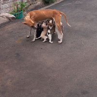Vijay kumar (@tvijay56074) Twitter profile photo