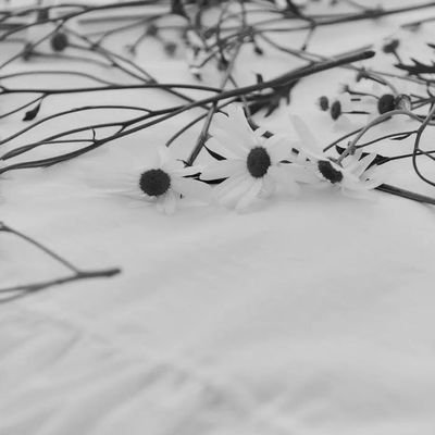 3iM2Ujzqb39243's profile picture. 