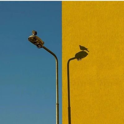 wang_hao44648's profile picture. handsome