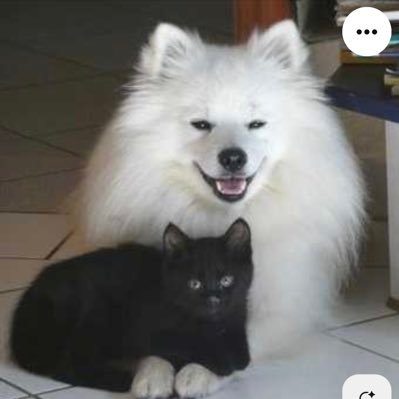 🐶🐱#แฟนสาวพี่จองคัลเเลน มัมหมีน้องสกายนานิ~ #อิมินาสกายนานิ ไอ้พวกต้าวชมพูฟ้าที่จริงใจ~ 🩷🩵