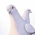 鳩ç°é³©å€«ïœæ¥œå€©ã¢ãã€ã«ã玹ä»ãã鳩ðïž (@hatodahatoo) Twitter profile photo 鳩ç°é³©å€«ïœæ¥œå€©ã¢ãã€ã«ã玹ä»ãã鳩ðïž (@hatodahatoo) Twitter profile photo