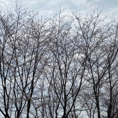 N42wind1867's profile picture. 