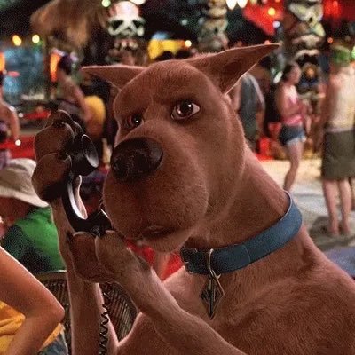 Chasemcgann's profile picture. NJ