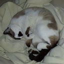 Chuck Connell - @Chucksan60 - Twitter